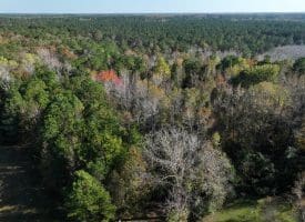 12.19 +/- Residential or Recreational Land on Mille Christine Rd in Whiteville NC