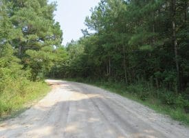 SOLD!! 41+/- Acres of Farm, Timber, and Hunting Land  in Robeson County NC