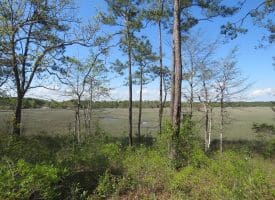 .47+/- Acre Residential Lot For Sale in Brunswick County NC!