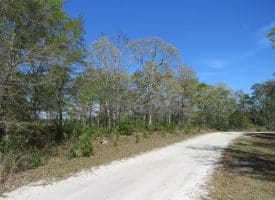 .47+/- Acre Residential Lot For Sale in Brunswick County NC!