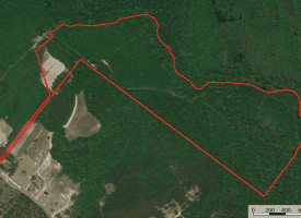 65+/- Acres of Riverfront Hunting Land For Sale in Cumberland County North Carolina!