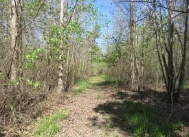 65+/- Acres of Riverfront Hunting Land For Sale in Cumberland County North Carolina!