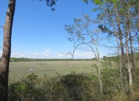 .46+/- Acre Residential Lot For Sale in Brunswick County NC!