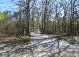 65+/- Acres of Riverfront Hunting Land For Sale in Cumberland County North Carolina!