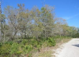 .46+/- Acre Residential Lot For Sale in Brunswick County NC!