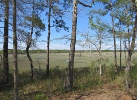 .47+/- Acre Residential Lot For Sale in Brunswick County NC!