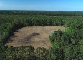 7+/- Acres of Residential and Farm Land For Sale in Columbus County NC!