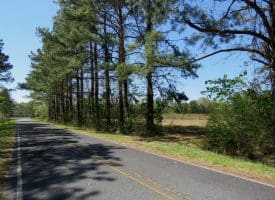 7+/- Acres of Residential and Farm Land For Sale in Columbus County NC!