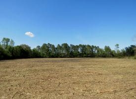 7+/- Acres of Residential and Farm Land For Sale in Columbus County NC!