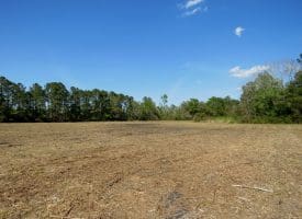 7+/- Acres of Residential and Farm Land For Sale in Columbus County NC!