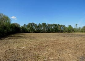 7+/- Acres of Residential and Farm Land For Sale in Columbus County NC!