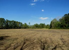 7+/- Acres of Residential and Farm Land For Sale in Columbus County NC!