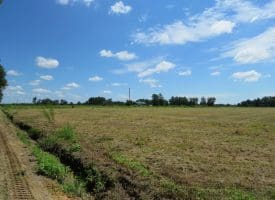 SOLD! 8+/- Acres of Farm and Residential Land For Sale in Robeson County NC!