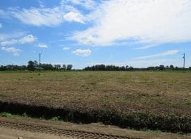 SOLD! 8+/- Acres of Farm and Residential Land For Sale in Robeson County NC!