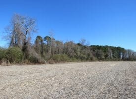 13+/- Acres of Land For Sale in Robeson County NC!