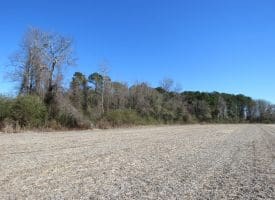 SOLD! 8+/- Acres of Land For Sale in Robeson County NC!