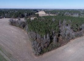 SOLD! 13+/- Acres of Land For Sale in Robeson County NC!