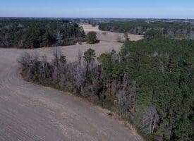 SOLD! 8+/- Acres of Land For Sale in Robeson County NC!