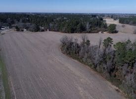 13+/- Acres of Land For Sale in Robeson County NC!