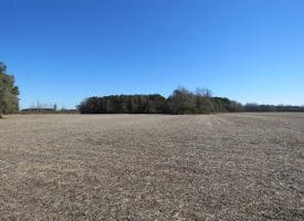 SOLD! 8+/- Acres of Land For Sale in Robeson County NC!