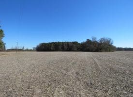 SOLD! 8+/- Acres of Land For Sale in Robeson County NC!