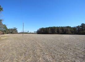 SOLD! 13+/- Acres of Land For Sale in Robeson County NC!