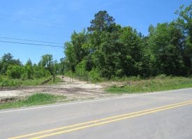 SOLD! 65 +/- Acres of Timber and Hunting Land For Sale in Columbus County NC!