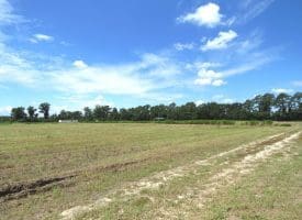 SOLD! 9+/- Acres of Land For Sale in Robeson County NC!