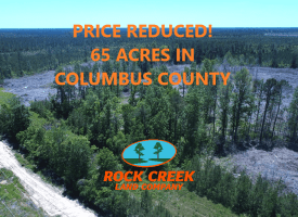 SOLD! 65 +/- Acres of Timber and Hunting Land For Sale in Columbus County NC!