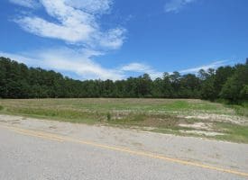 SOLD! 31+/- Acre Farm For Sale in Robeson County NC!