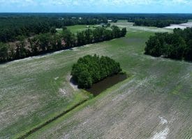 71 +/- Acre Farm Marietta Road Robeson County, NC