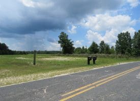 71 +/- Acre Farm Marietta Road Robeson County, NC