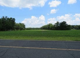 71 +/- Acre Farm Marietta Road Robeson County, NC