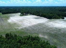 71 +/- Acre Farm Marietta Road Robeson County, NC