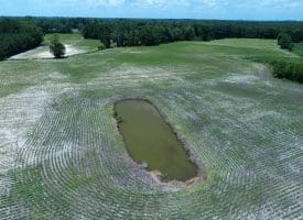 71 +/- Acre Farm Marietta Road Robeson County, NC