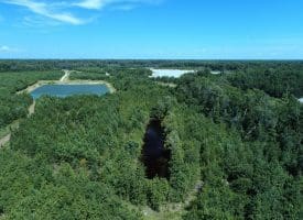 125+/- Acres of Timber and Receational Land For Sale in Robeson County NC!