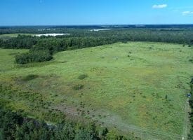 128+/- Acres of Farm and Hunting Land For Sale in Robeson County NC!