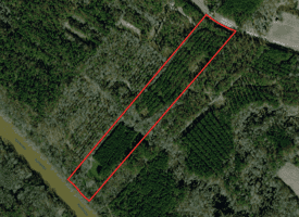 SOLD! 32+/- Acres of River Front Hunting and Timber Land For Sale in Bladen County NC!