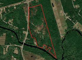 SOLD! 59+/- Acres of Recreational and Residential Land For Sale in Pender County NC!