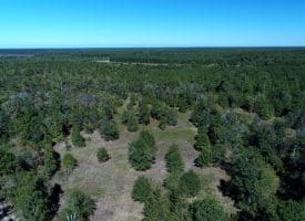 SOLD! 59+/- Acres of Recreational and Residential Land For Sale in Pender County NC!