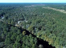 SOLD! 59+/- Acres of Recreational and Residential Land For Sale in Pender County NC!