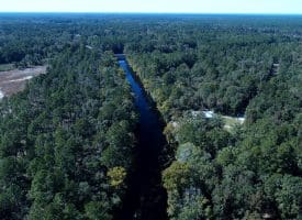 SOLD! 59+/- Acres of Recreational and Residential Land For Sale in Pender County NC!