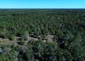 SOLD! 59+/- Acres of Recreational and Residential Land For Sale in Pender County NC!