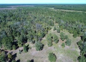 SOLD! 59+/- Acres of Recreational and Residential Land For Sale in Pender County NC!