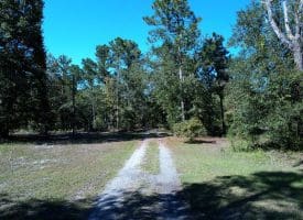 SOLD! 59+/- Acres of Recreational and Residential Land For Sale in Pender County NC!