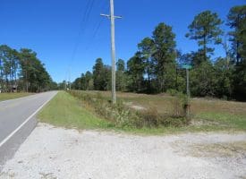 SOLD! 59+/- Acres of Recreational and Residential Land For Sale in Pender County NC!