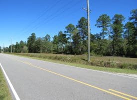 SOLD! 59+/- Acres of Recreational and Residential Land For Sale in Pender County NC!