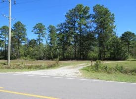 SOLD! 59+/- Acres of Recreational and Residential Land For Sale in Pender County NC!