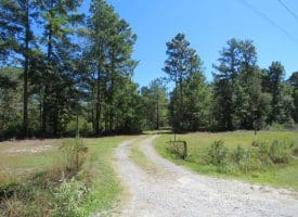 SOLD! 59+/- Acres of Recreational and Residential Land For Sale in Pender County NC!