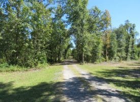 SOLD! 59+/- Acres of Recreational and Residential Land For Sale in Pender County NC!